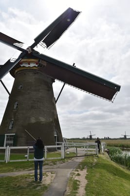 DSC_4132.JPG