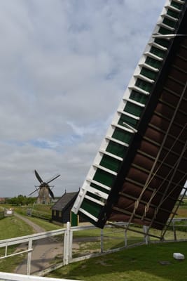 DSC_4133.JPG