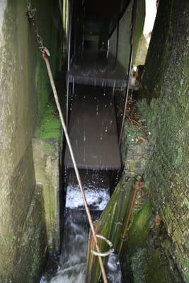 DSC_4134.JPG