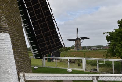 DSC_4153.JPG
