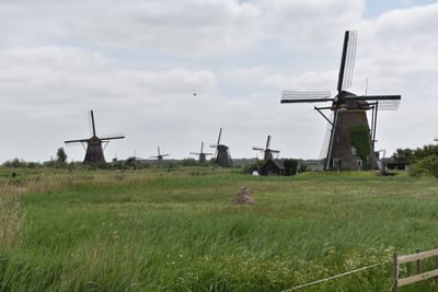 DSC_4154.JPG