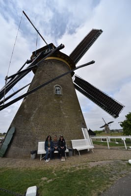 DSC_4155.JPG