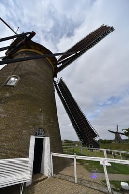 DSC_4156.JPG