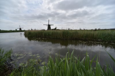 DSC_4157.JPG
