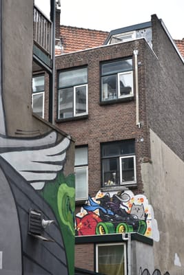 DSC_4201.JPG
