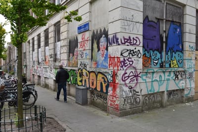 DSC_4210.JPG