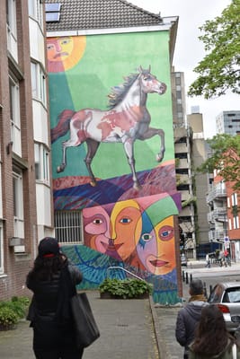 DSC_4214.JPG