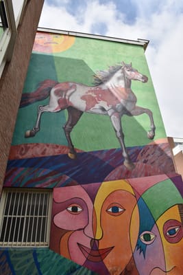 DSC_4217.JPG