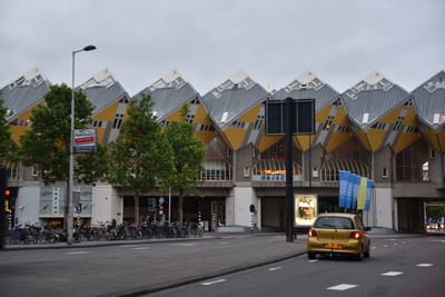 DSC_4313.JPG