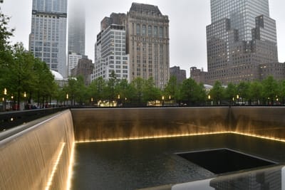 DSC_4350.JPG