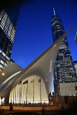 DSC_4426.JPG