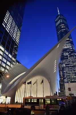 DSC_4427.JPG