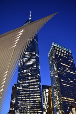 DSC_4431.JPG