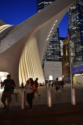 DSC_4432.JPG