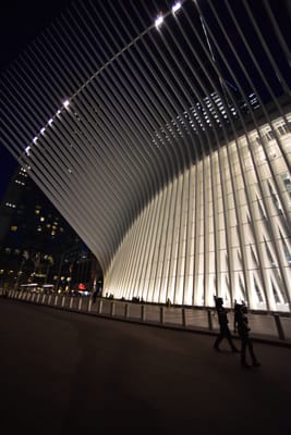 DSC_4442.JPG