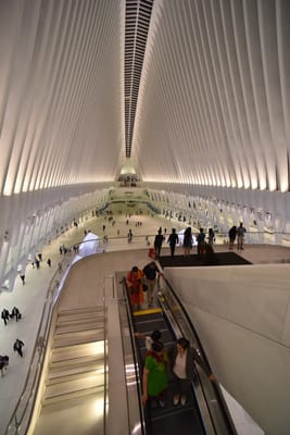 DSC_4447.JPG