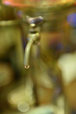 DSC_4481.JPG