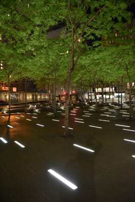 DSC_4512.JPG
