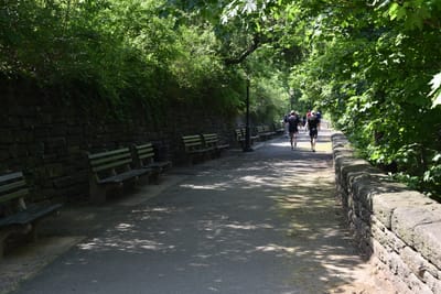 DSC_4647.JPG