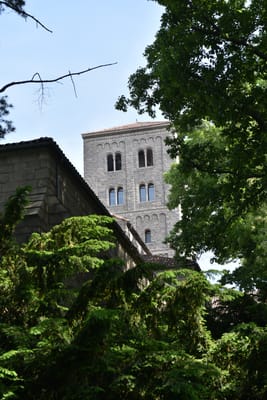 DSC_4651.JPG