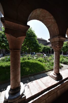DSC_4659.JPG