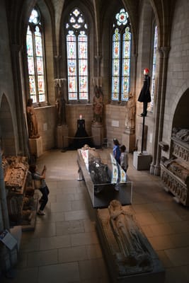 DSC_4667.JPG