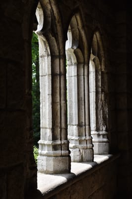 DSC_4674.JPG