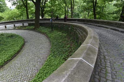 DSC_4678.JPG