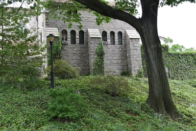 DSC_4679.JPG