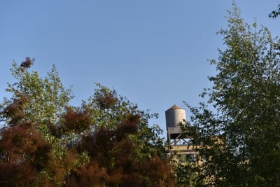DSC_4538.JPG