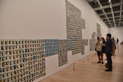 DSC_4576.JPG