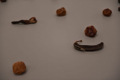 DSC_4580.JPG