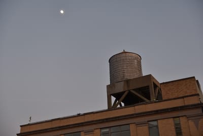 DSC_4597.JPG