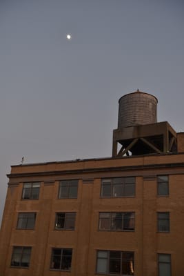 DSC_4598.JPG