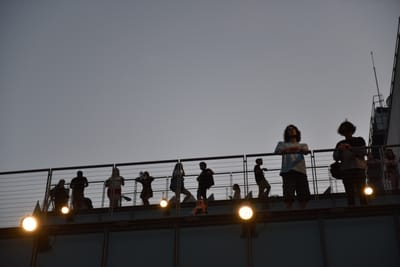 DSC_4602.JPG