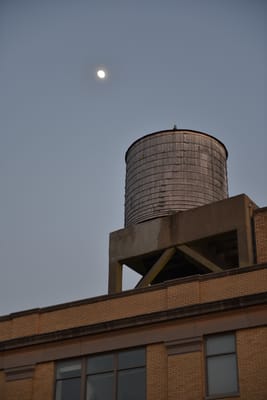 DSC_4604.JPG