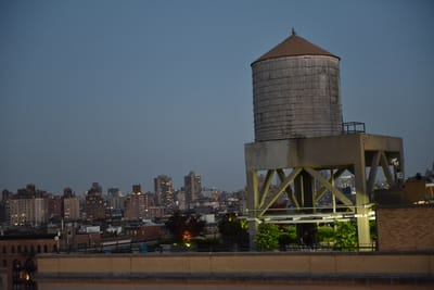 DSC_4621.JPG