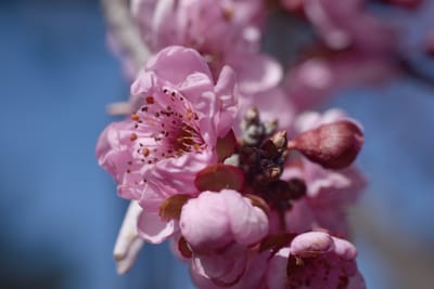 DSC_6272.JPG