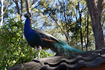 DSC_6324.JPG