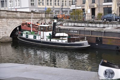 DSC_3635.JPG
