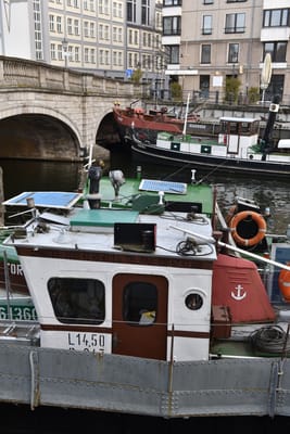 DSC_3637.JPG