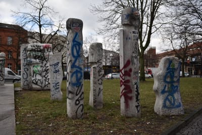DSC_3571.JPG