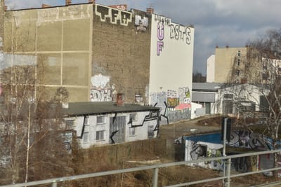 DSC_3595.JPG