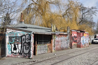 DSC_3611.JPG