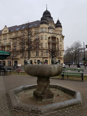20180305_114736.jpg