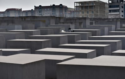 DSC_3439.jpg