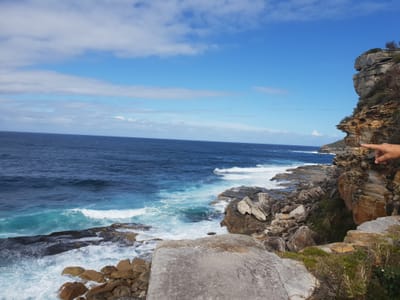 20181006_142935.jpg