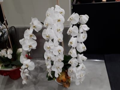 20181124_085410.jpg
