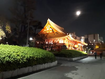 20181125_204433.jpg