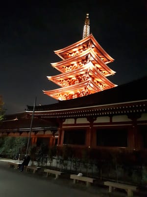 20181125_204500.jpg